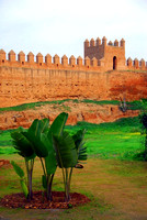 Chellah Ruins & Gardens, Rabat