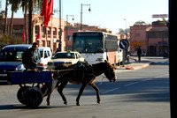 Marrakech