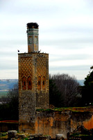 Chellah Ruins & Gardens, Rabat